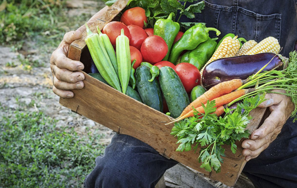 alimentations bios