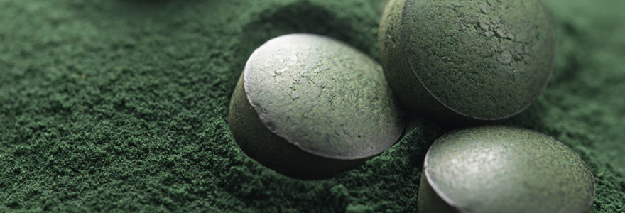 Spiruline bio